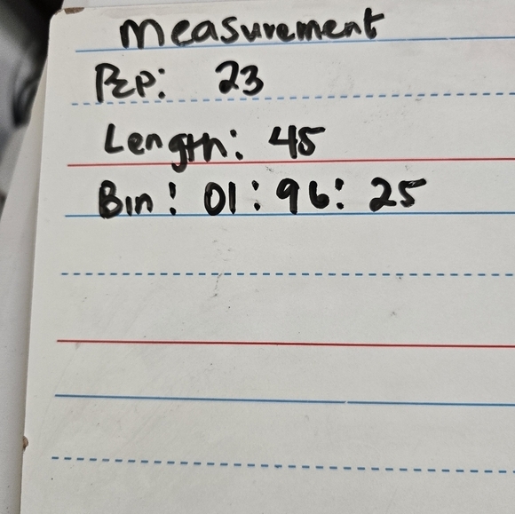 A New Day Slip Dress Women Beige Zebra Print Sz L Babydoll Minimalist New - Picture 15 of 15